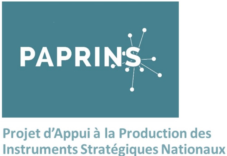 http://minepat.gov.cm/wp-content/uploads/2020/07/PAPRINS_logo.jpg