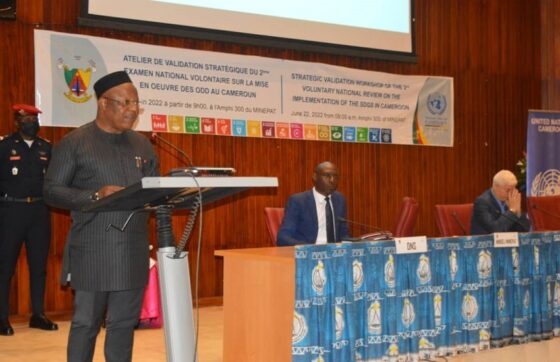 Mise en œuvre des ODD: le Cameroun affine son 2ème rapport                                                                    