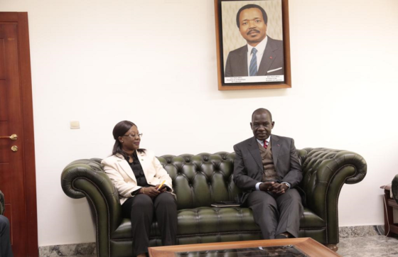 Cooperation: The Director of the Central Africa Office of the AfDB on a Courtesy Visit to MINEPAT