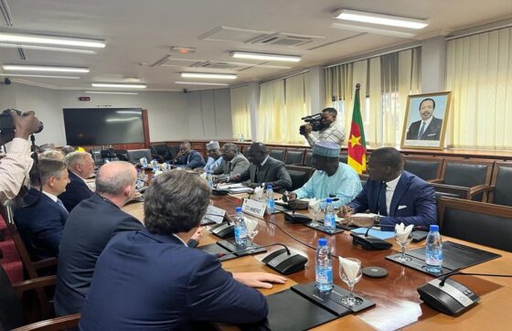 Cameroon-Austria Cooperation: 350 Low-Cost Houses to Be Built Soon