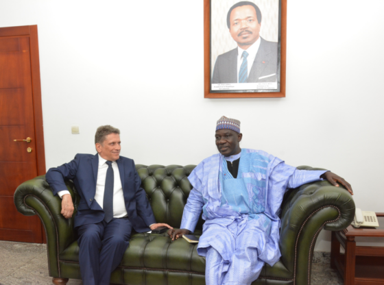 Coopération Cameroun -France: Le secteur privé au centre des priorités