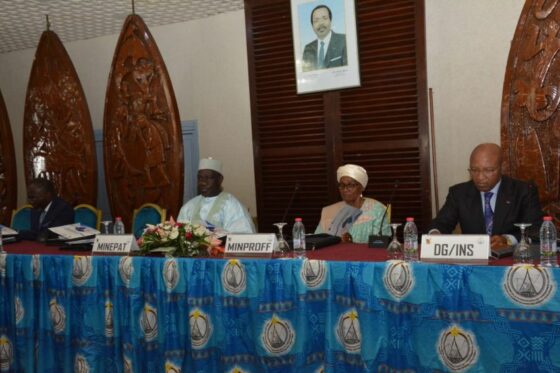 Système d’information statistique : le Cameroun franchit le cap de la modernisation